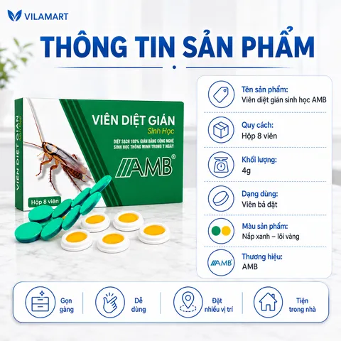 Thuốc Diệt Gián Sinh Học AMB – Diệt Nhiều Loại Gián, Dễ Sử Dụng, Hiệu Quả Cao
