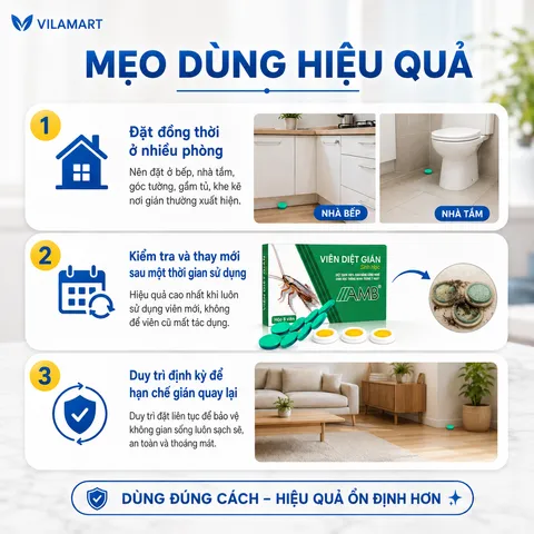 Thuốc Diệt Gián Sinh Học AMB – Diệt Nhiều Loại Gián, Dễ Sử Dụng, Hiệu Quả Cao