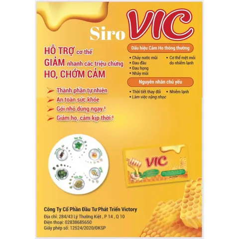 Siro Vic - Hỗ Trợ Giảm Ho, Sổ Mũi, Đau Đầu Do Cảm Lạnh Hộp 12 gói