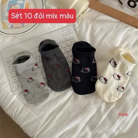 Set 5 đôi tất vớ nữ cổ cao họa tiết gấu, cotton mềm mại, co giãn – JIN-2512-CB5 813787