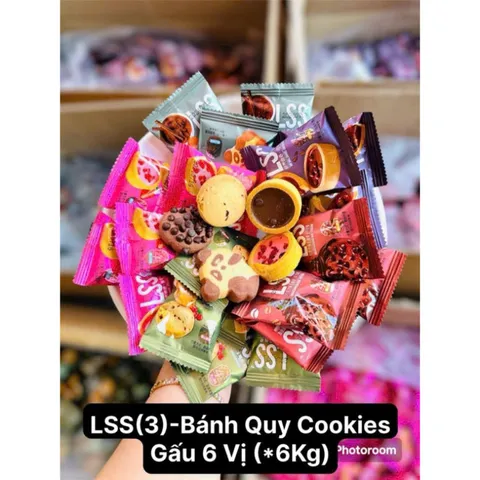 Bánh Quy Socola Bơ Sữa LSS Nội Địa Trung - Mix 4 Vị Ngon Lạ 813799