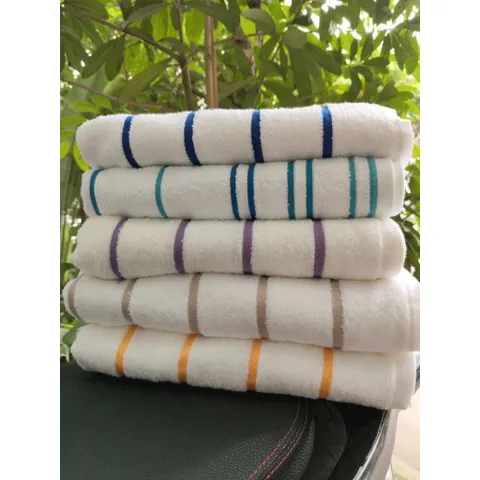 Khăn Tắm Biển Size Đại 80x160cm 100% Cotton Dày 600g Khăn Tắm Khách Sạn Cao Cấp Xuất Khẩu Họa Tiết Kẻ Sọc Thấm Hút Tốt 814335