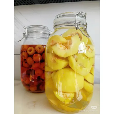 Bình Thủy Tinh Nắp Cài Kín Hơi 1L 2L 3L - Hũ Ngâm Hoa Quả, Đựng Thực Phẩm Cao Cấp 814354