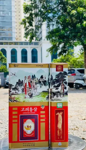 Sâm Khô Nguyên Củ Hộp Thiếc Hàn Quốc 300g, củ to 10 củ