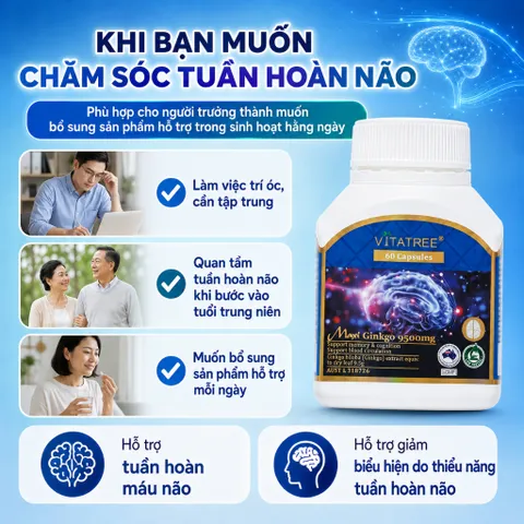 Combo Vitatree Maxi Ginkgo 9500mg 60 viên + Kidney Tonic 100 viên hỗ trợ tuần hoàn não và thận