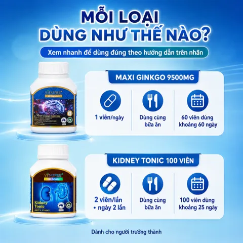 Combo Vitatree Maxi Ginkgo 9500mg 60 viên + Kidney Tonic 100 viên hỗ trợ tuần hoàn não và thận