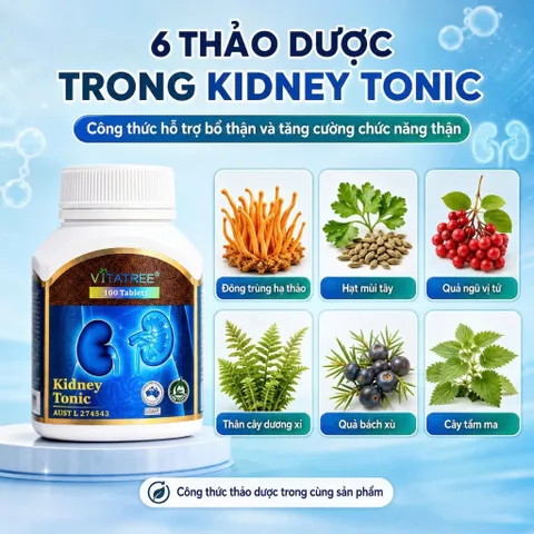 Combo Vitatree Organ Fat Detox 60 viên + Kidney Tonic 100 viên hỗ trợ gan thận & chuyển hóa chất béo