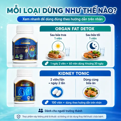 Combo Vitatree Organ Fat Detox 60 viên + Kidney Tonic 100 viên hỗ trợ gan thận & chuyển hóa chất béo