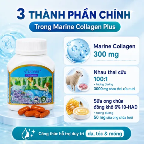 Combo Vitatree Marine Collagen Plus 100 viên + Maxi Ginkgo 9500mg 60 viên hỗ trợ da tóc móng và não