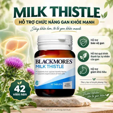 Viên uống Blackmores Milk Thistle hỗ trợ gan của Úc - Lọ 42 viên