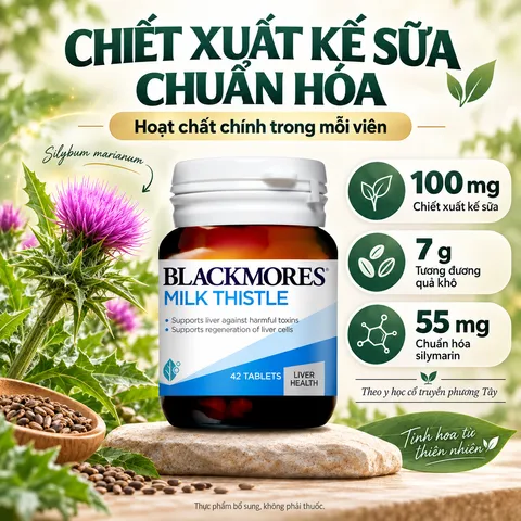 Viên uống Blackmores Milk Thistle hỗ trợ gan của Úc - Lọ 42 viên
