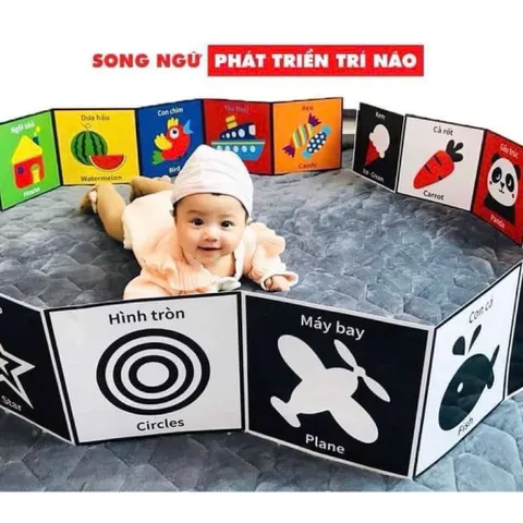 Thẻ kích thích thị giác cho bé, hỗ trợ nhận biết màu sắc và chi tiết vật thể