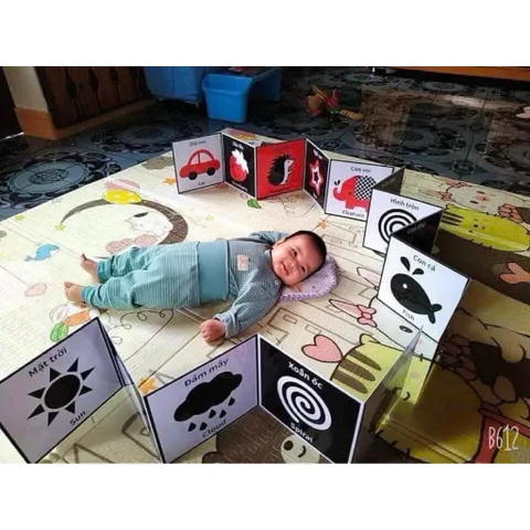 Thẻ kích thích thị giác cho bé, hỗ trợ nhận biết màu sắc và chi tiết vật thể