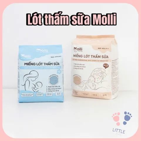Miếng Lót Thấm Sữa Siêu Mỏng Molli – Lót Thấm Sữa An Toàn Cho Mẹ