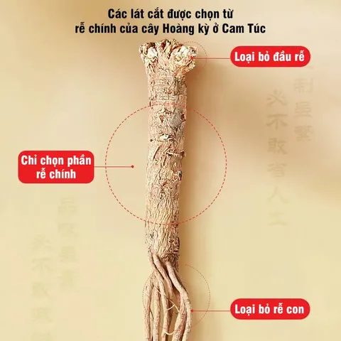 Hoàng kỳ Cam Túc hàng tuyển chọn, bổ khí, tăng sức đề kháng, hộp 120g