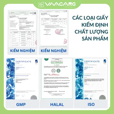 Viên Uống Hỗ Trợ Giảm Suy Giãn Tĩnh Mạch Venaxin FORTE Hộp 30 Viên, Nhập Khẩu