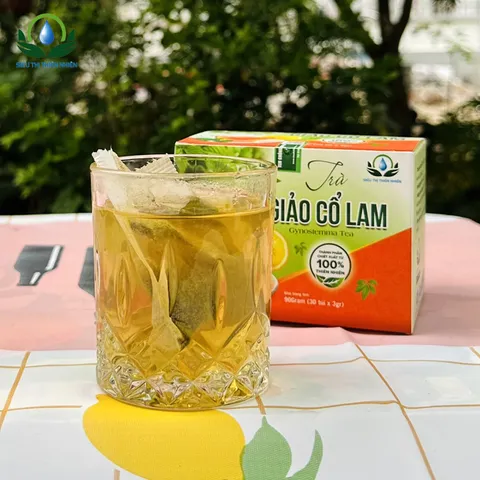 COMBO Trà Giảo Cổ Lam Siêu Thị Thiên Nhiên túi lọc 30 gói