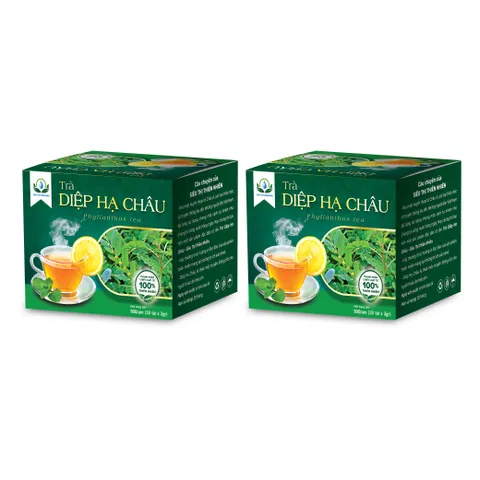 Combo Trà Diệp Hạ Châu Hộp 30 Túi Lọc x 3g – Trà Thảo Mộc Tiện Dụng, Dễ Pha, Siêu Thị Thiên Nhiên