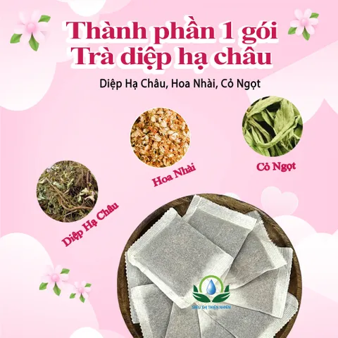 Combo Trà Diệp Hạ Châu Hộp 30 Túi Lọc x 3g – Trà Thảo Mộc Tiện Dụng, Dễ Pha, Siêu Thị Thiên Nhiên