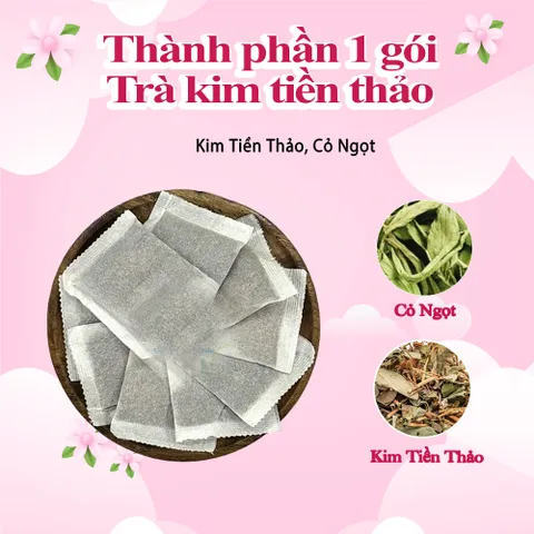 Combo Trà Kim Tiền Thảo Hộp 30 Túi Lọc – Trà Thảo Mộc Tiện Lợi, Xuất Xứ Việt Nam