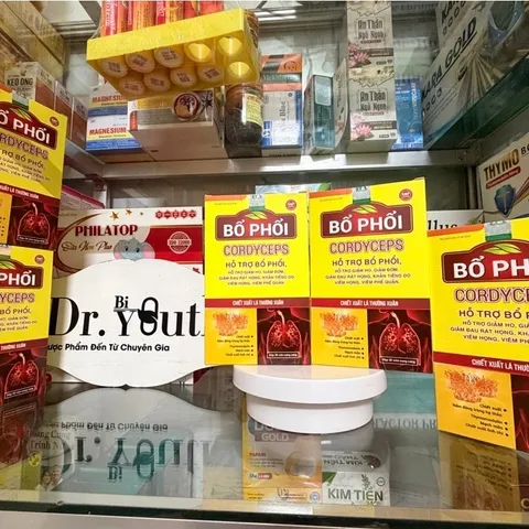 Viên uống Bổ phế Cordyceps ngăn viêm phổi phế quản mạn,viêm đường hô hấp, long đàm, ho khan, khàn tiếng 30v