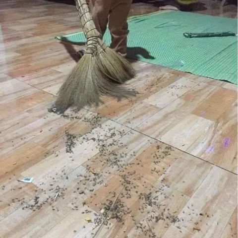 NHANG MUỖI THẢO MỘC - GIẢI PHÁP XUA MUỖI TIỆN LỢI CHO GIA ĐÌNH