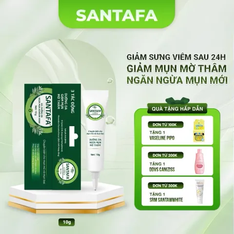 Kem Giảm Mụn Mủ, Mụn Bọc, Mụn Đỏ Và Mụn Trứng Cá Acnevir Santafa - Tuýp 10gr