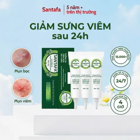 Kem Giảm Mụn Mủ, Mụn Bọc, Mụn Đỏ Và Mụn Trứng Cá Acnevir Santafa - Tuýp 10gr