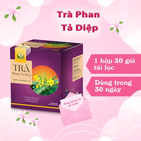 Combo Trà Phan Tả Diệp Túi Lọc 30 gói Tiện Dụng – Thức Uống Thảo Mộc Thiên Nhiên