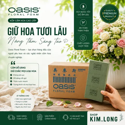 Xốp Cắm Hoa Oasis Loại 1 Thùng 20 Viên