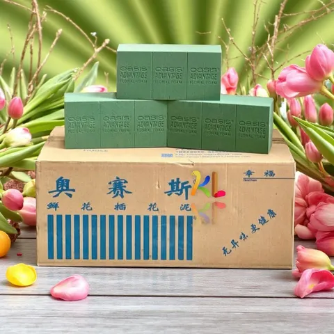 Xốp Cắm Hoa Oasis Loại 1 Thùng 20 Viên
