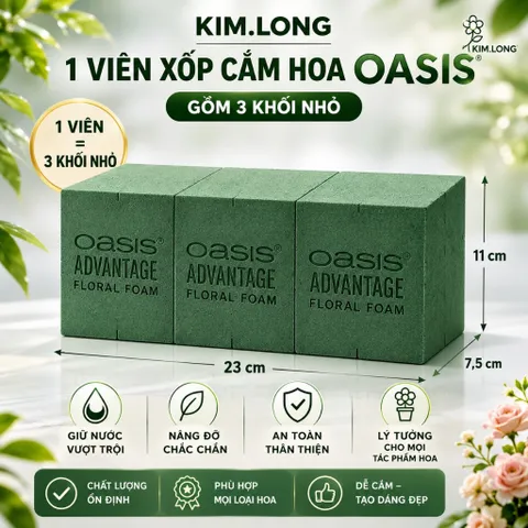 Xốp Cắm Hoa Oasis Loại 1 Thùng 20 Viên