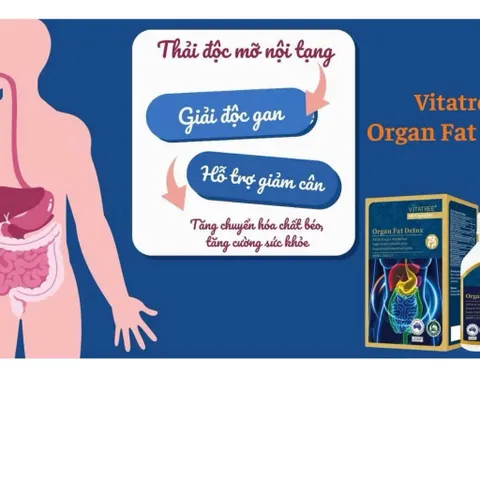 (Chính Hãng) Vitatree Organ Fat Detox hỗ trợ thải mỡ nội tạng Úc