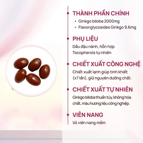 [CHÍNH HÃNG] Viên uống bổ não HealthyCare Ginkgo Biloba 100 viên hoạt huyết dưỡng não hỗ trợ trí nhớ
