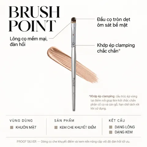 CỌ CHE KHUYẾT ĐIỂM VÀ BẮT SÁNG KEM PICCASSO PROOF SILVER 09