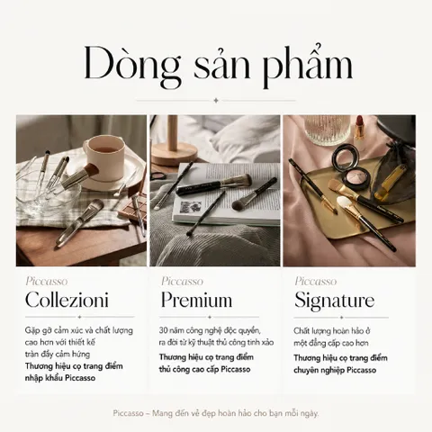 CỌ CHE KHUYẾT ĐIỂM VÀ BẮT SÁNG KEM PICCASSO PROOF SILVER 09