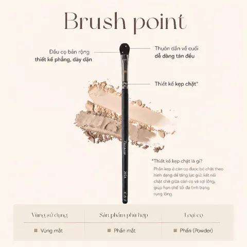 BỘ CỌ BASE & BLEND PICCASSO (4 CÂY & CLEANSING PAD)