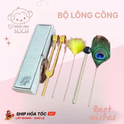 DỤNG CỤ BỘ GÕ LÔNG CÔNG THƯ GIÃN DƯỠNG SINH TRUNG HOA 819196