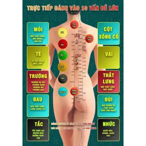 Máy Tam Thông Đại Sư công nghệ cao và thảo dược thuần thiên nhiên cùng với kỹ thuật chuyên sâu