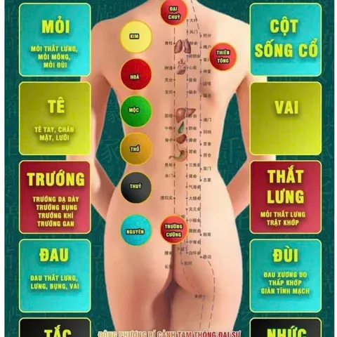 Máy Tam Thông Đại Sư công nghệ cao cấp và thảo dược thuần thiên nhiên cùng với kỹ thuật chuyên sâu