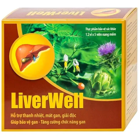 (CTy NK) Viên uống hỗ trợ thanh nhiệt, mát gan, giải độc, bảo vệ gan LiverWell (12 vỉ x 5 viên)