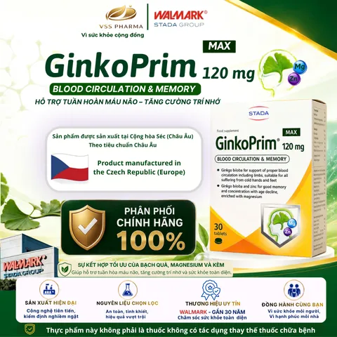 Viên Uống GinkoPrim Max 120mg STADA Tốt Cho Não Bộ, Tăng Cường Trí Nhớ, Cải Thiện Sự Tập Trung Hộp 30 Viên