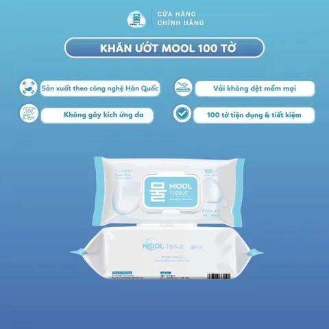 Khăn ướt 100 tờ Mool