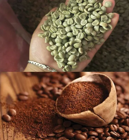 (1 Kg) CÀ PHÊ ROBUSTA S18 (Đak Lak) - Rang Mộc Nguyên Chất 100% (Đã bao gồm 8% VAT)