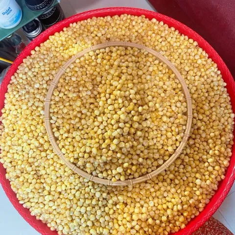 Ngô Nếp Non Sấy Giòn Không Đường - Quà Ăn Vặt Giòn Tan, Giàu Dinh Dưỡng, Thích Hợp Cho Mọi Nhà