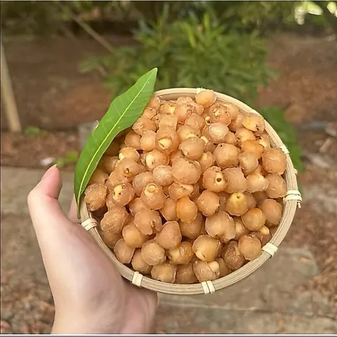 Long Nhãn Ôm Sen - Đặc Sản Hưng Yên, Ăn Vặt Ngon, Hỗ Trợ Giấc Ngủ Hộp 500gram