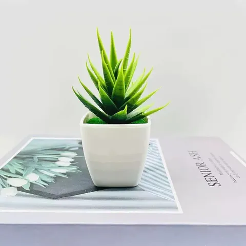 Chậu cây trầu bà nhựa kích thước 16cm trang trí,deco phòng ấn tượng,làm quà tặng..: