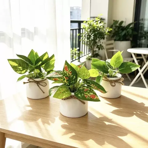 Chậu cây trầu bà nhựa kích thước 16cm trang trí,deco phòng ấn tượng,làm quà tặng..: