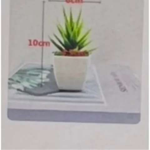 Chậu cây trầu bà nhựa kích thước 16cm trang trí,deco phòng ấn tượng,làm quà tặng..: