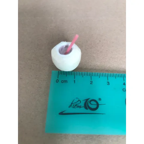 dừa mini bằng đất sét